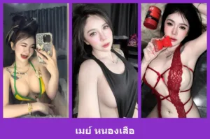 เปิดวาร์ป เมย์ หนองเสือ - warpidol