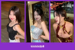 เปิดวาร์ป แมมมอส - warpidol