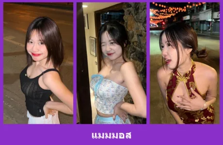 เปิดวาร์ป แมมมอส - warpidol
