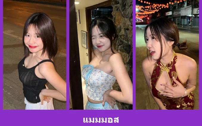เปิดวาร์ป แมมมอส - warpidol