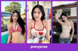 ponyprae warpidol