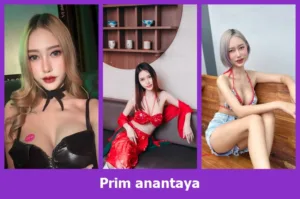 เปิดวาร์ป Prim anantaya - warpidol