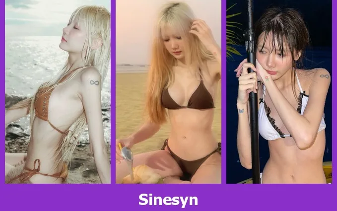 เปิดวาร์ป Sinesyn - warpidol