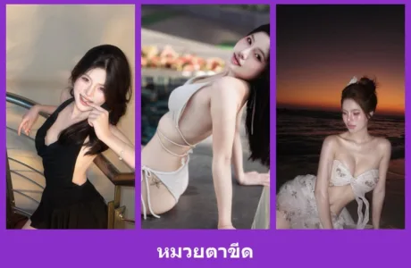 เปิดวาร์ป หมวยตาขีด - warpidol